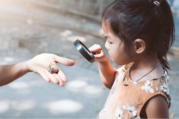 Child with magnifying glass examining a snail